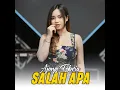 Salah Apa