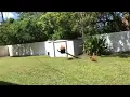Peacock Flying