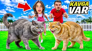 EYVAH ELİF KEDİLER KAVGA EDİYOR ‼️
