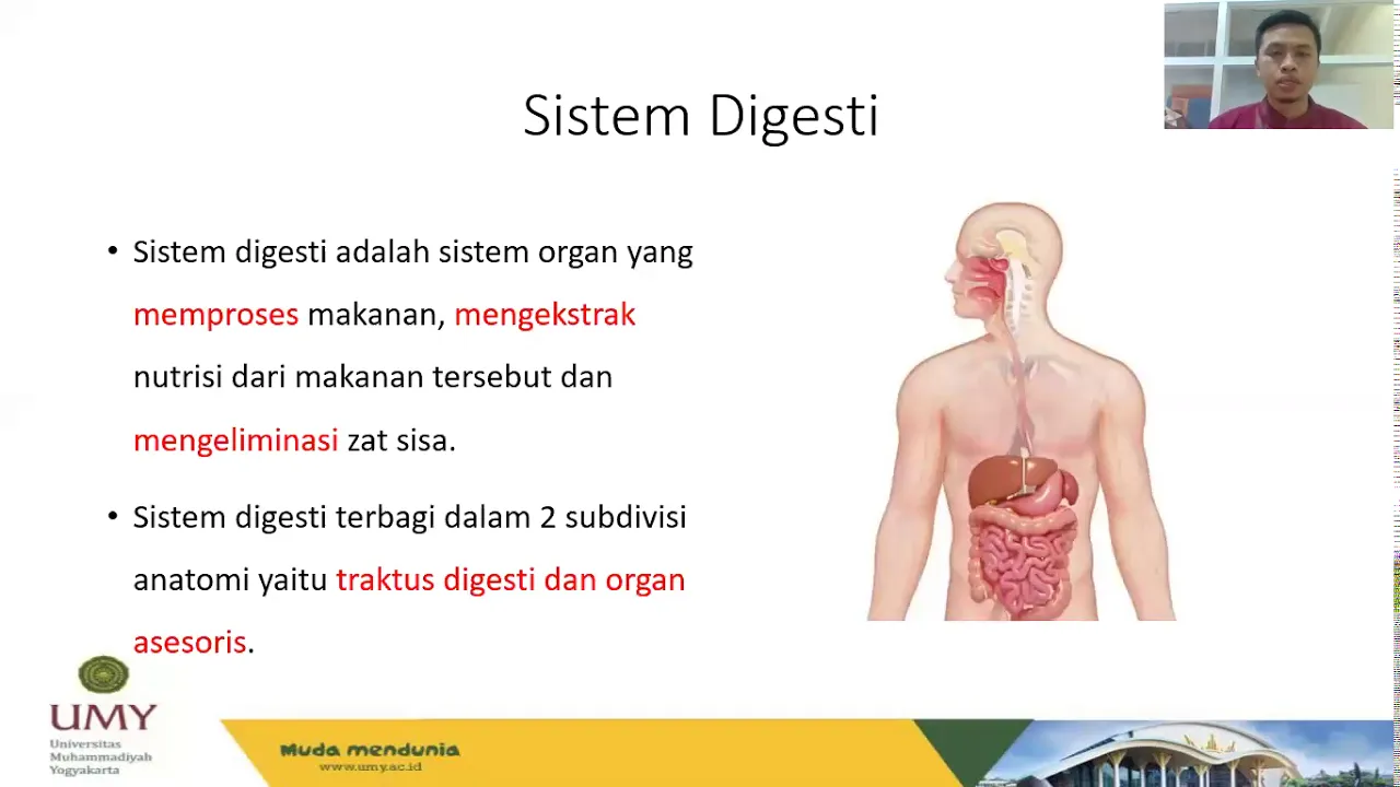 This video talks about Hernia Nucleus Pulposus (HNP). 