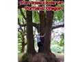 Portland Oregon Stuart Brazell s Bucket List Mt Tabor the Pearl District Foodie Heaven
