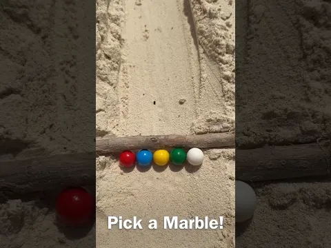 Zanzibar Beach #marblerace 1 - #marblerun