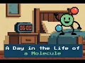 A Day in the Life of A Molecule