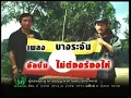 Ed Carabao Bangrachan