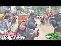 Download Lagu ANDI PUTRA 1 Secawan Madu Voc Winda Live Sumur Adem Tgl 25 April 2023