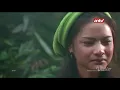 Download Lagu Film anaconda thailand dub indo