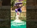 Download Lagu Nastya in the Atlantis Aquaventure Waterpark