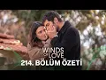 Lagu Rüzgarlı Tepe 214. Bölüm Özeti | Winds of Love Episode 214 Recap (Eng Sub)