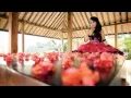 Download Lagu LILIN HERLINA   BAWANG MERAH