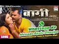 Lagu Whatsapp Ke Message Banke Dhaniya | BAAGHI | Khesari Lal Yadav,Kajal Raghwani ,Priyanka Singh