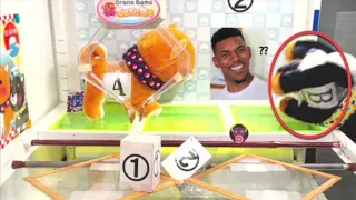 To Toreba Staff I deserve the WIN for this