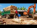 Use Truck to Transport 10 Tons of Peeled Wood – Reliable Building Material Delivery | Tieu Hue Daily