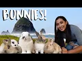 Best Kept Secret of Oregon coast - Canon Beach