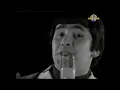 The Troggs  - With A Girl Like You .  HD