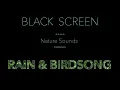 Download Lagu Nature Sounds-Rain \u0026 Forest Birdsong Dark/Black Screen-Relaxing Calm Sleeping Sound-Johnnie Lawson