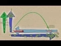 Fisheries Economics Policy Maximum Economic Yield