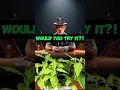 Download Lagu Psychedelic Journey! #time #distortion #hallucination #life #conspiracy #arishaffir #jre @joerogan