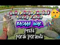 Download Lagu JANGAN DILIHAT BERBAHAYA ‼ beginilah penampakan jika yang punya sedang ulang tahun