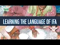 Learning The Language Of Ifa - Odu Ifa in Ifa Religion