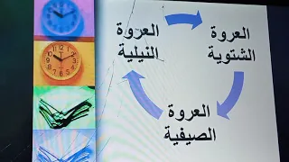شرح النشاط الزراعي في مصر 