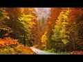 Download Lagu Beautiful Relaxing Music, Peaceful Soothing Instrumental Music, \