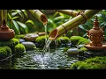 Download Lagu Relaxing Music | Calming Bamboo Flute and Gamelan for Meditation  | Peaceful Indonesian