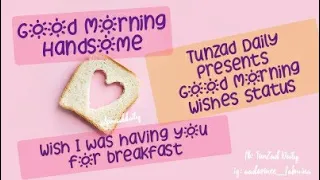  trending best good morning status for whatsapp good morning wishes greetings status dpz video