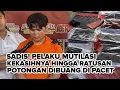 Download Lagu Sadis! Pelaku Mutilasi Kekasihnya Hingga Ratusan Potongan Yang Dibuang Di Pacet