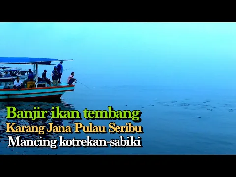 Download MP3 MUSIM IKAN TEMBANG DI PULAU SERIBU || MANCING KOTREKAN AJIB || KARANG JANA #Shorts