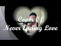 Never Ending Love