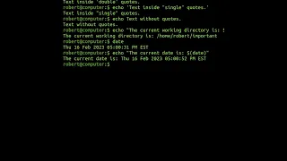 The echo Command In Linux