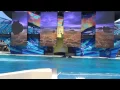 One Ocean Full Show - Soak Zone - SeaWorld San Diego