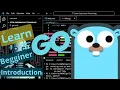 learn go beginner class 1 Hello World
