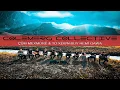 Download Lagu Colemêrg Collective - Çûm Mexmûrê \u0026 Tû Xewn Buy Hemî Gawa