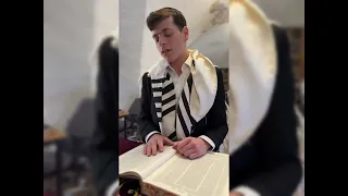 עוסק בתורה קאבר יהודה בורן נתנאל אמסילי 