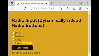 HTML CSS JavaScript Demo Radio Buttons -