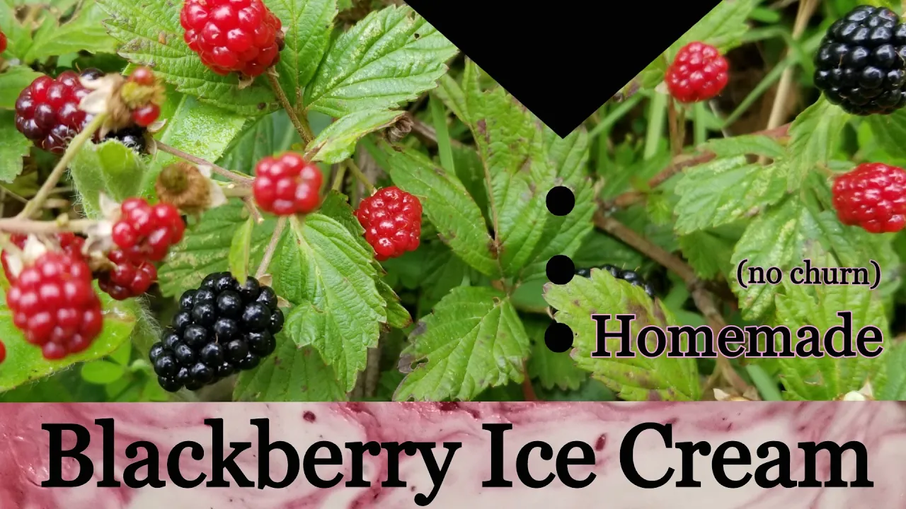 Easy, homemade, AND handpicked blackberry ice cream!