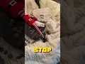 ELF ON THE SHELF