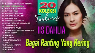 11 lagu terbaik iis dahlia