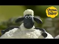 Download Lagu Shaun the Sheep Special 🐑Season 1 Holiday Watch Party! - Cartoons for Kids 🐑 Full Episodes [4 hours]