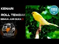 Download Lagu Masteran Kenari Roll Tembak- gampang ditiru (Jeda+Suara Air)