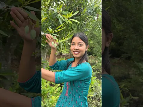 রুদ্রাক্ষ গাছ কিনলাম ❤️.        #minivlog #saree #makeup #explore #village #villagelife #shorts