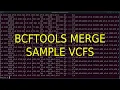 Bcftools Merge Individual VCF files VCF files