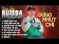 Lagu ĐỪNG NHỤT CHÍ - RUMBA | ALBUM NHẠC ĐỜI XUẤT SẮC NHẤT 2024 | LK ĐOÀN LÂM RUMBA CỰC HOT