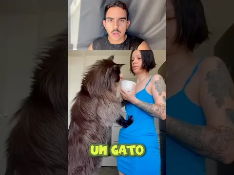 UM GATO DE TRÊS OLHOS FOI ENCONTRADO! ib: @am4rgo