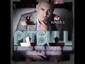 Lagu pitbull - i know you want me calle ocho [HQ]