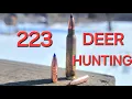 Is a 223 a good caliber for deer season