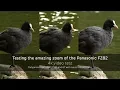 Download Lagu Testing the amazing zoom of the Panasonic FZ82 – 4k video comparison with the FZ330 and G7