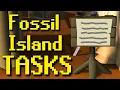 Fossil Island Task Guide