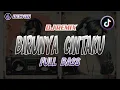 Download Lagu DJ Birunya Cintaku Slow Bass Terbaru | Remix Full Slow Bass